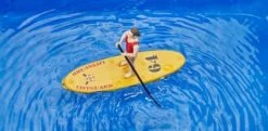 Bruder Bworld Set Life Guard Mit Stand Up Paddle 7 Bruder Bworld Set Life Guard Mit Stand Up Paddle -Bruder Store 20312583 04